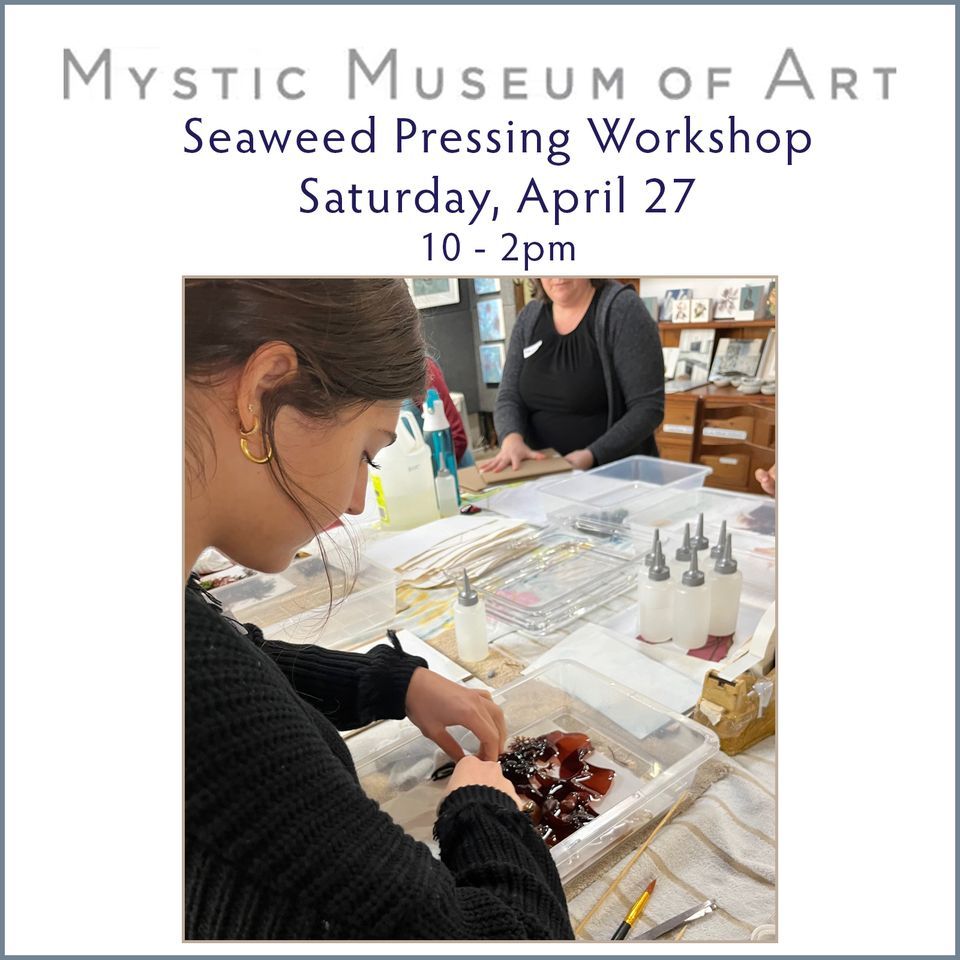 Mystic Museum of Art Seaweed Pressing Workshop
