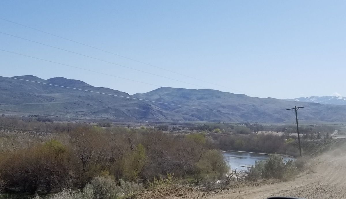 Fox Hunt Idaho