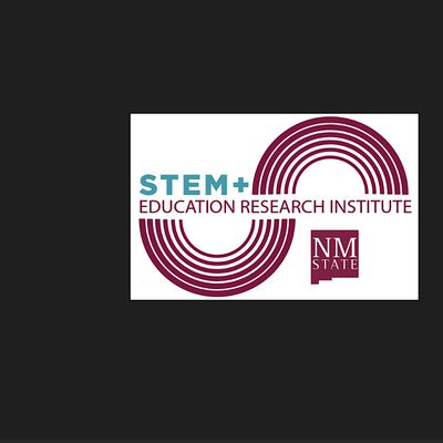 STEM + Education Research Institute