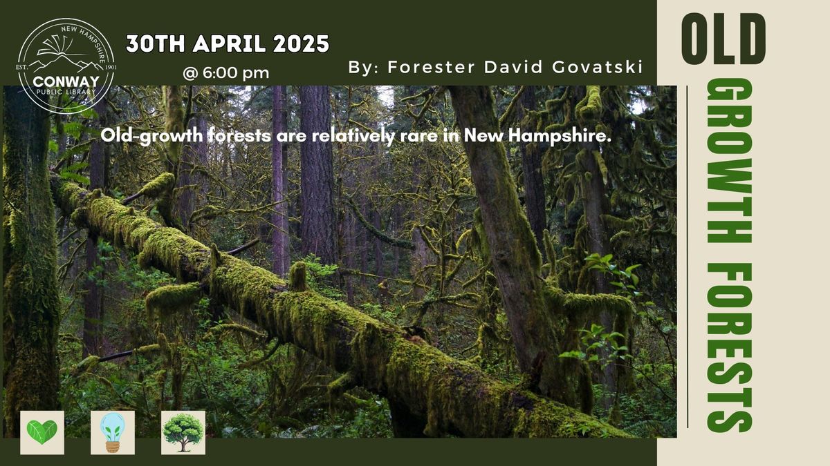 NH Old-Growth Forests w\/ David Govatski