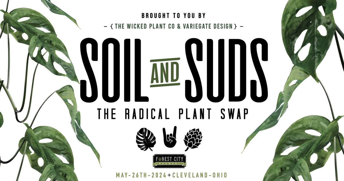SOIL & SUDS VI