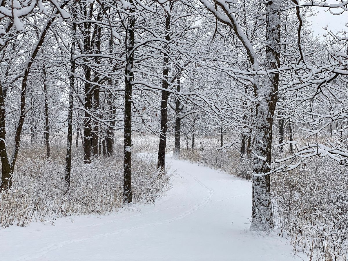 Winter Science Hike