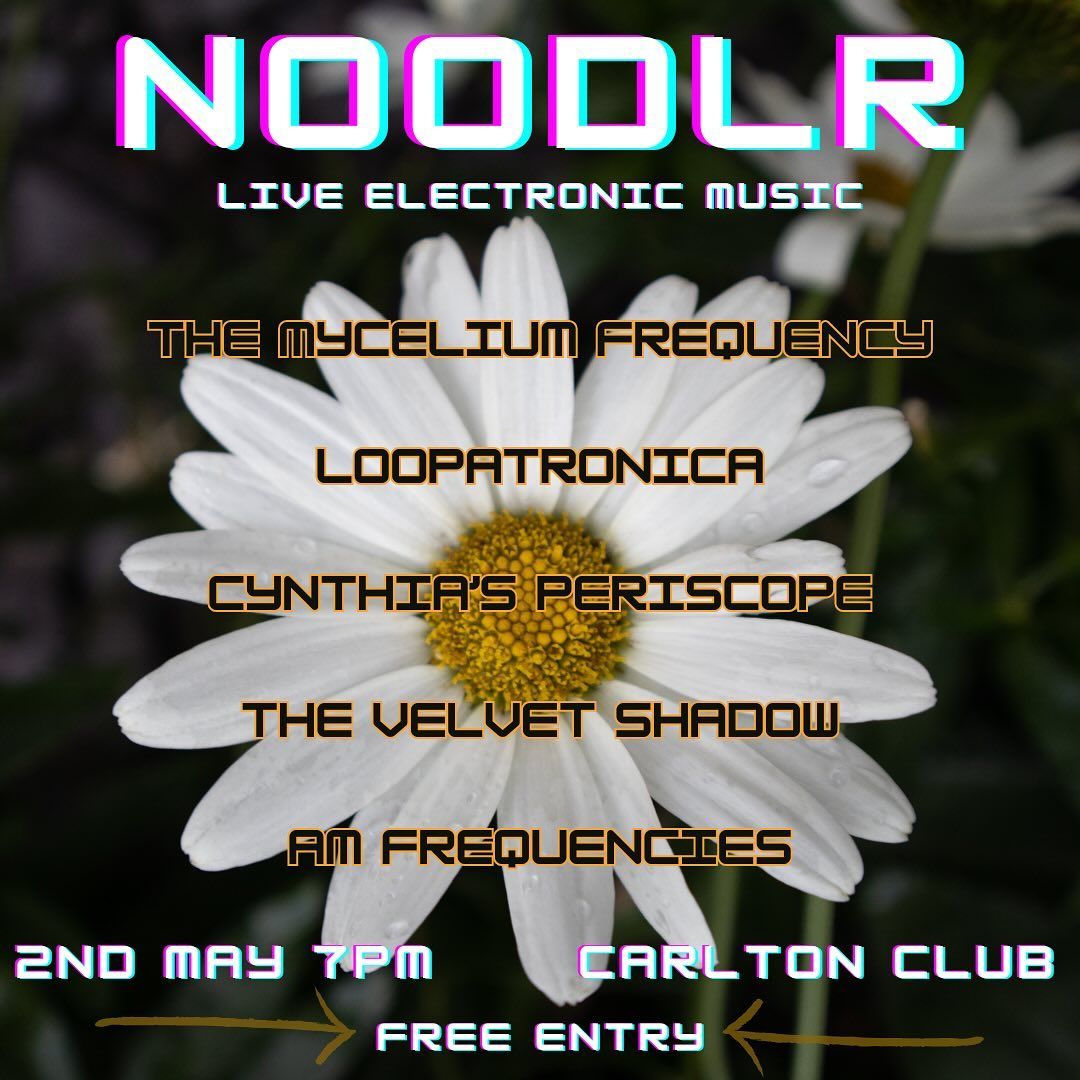 Noodlr: Live Electronic Music
