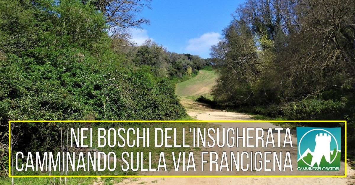 Nei boschi dell\u2019Insugherata, camminando sulla Via Francigena