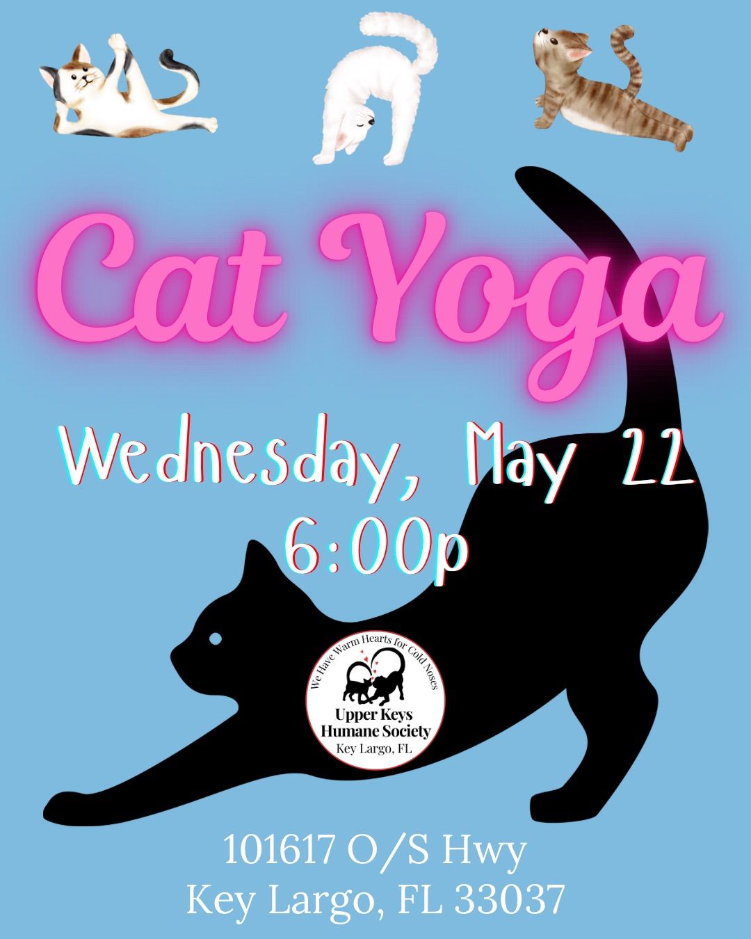 Cat Yoga with Damian & the UKHS zen masters!