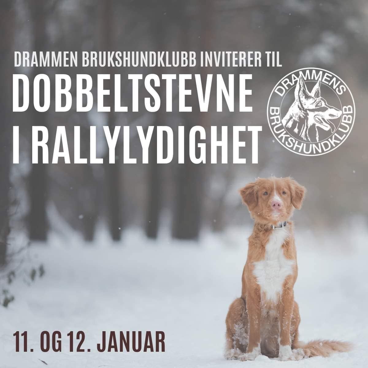 Fullt! Dobbelt rallylydighetsstevne 