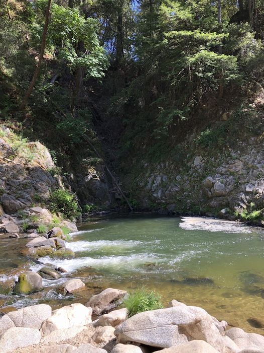 Garden Of Eden Hiking Not-so-secret Swimming Hole Santa Cruz Mountains Coyote 14 August 2021