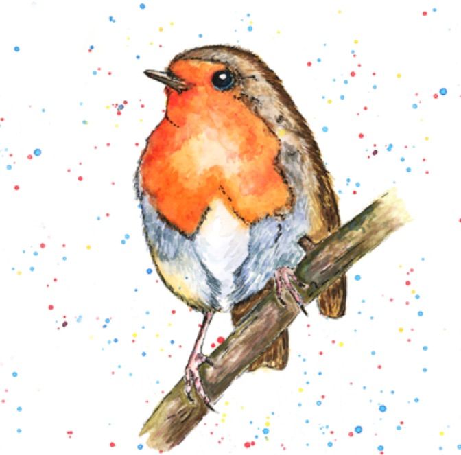 Watercolour Robin with White Bryony Designs 