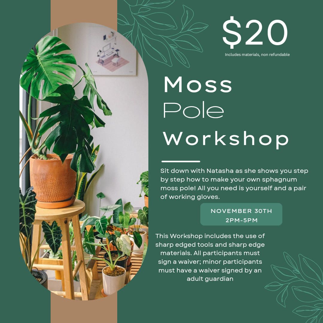 Moss Pole Workshop 