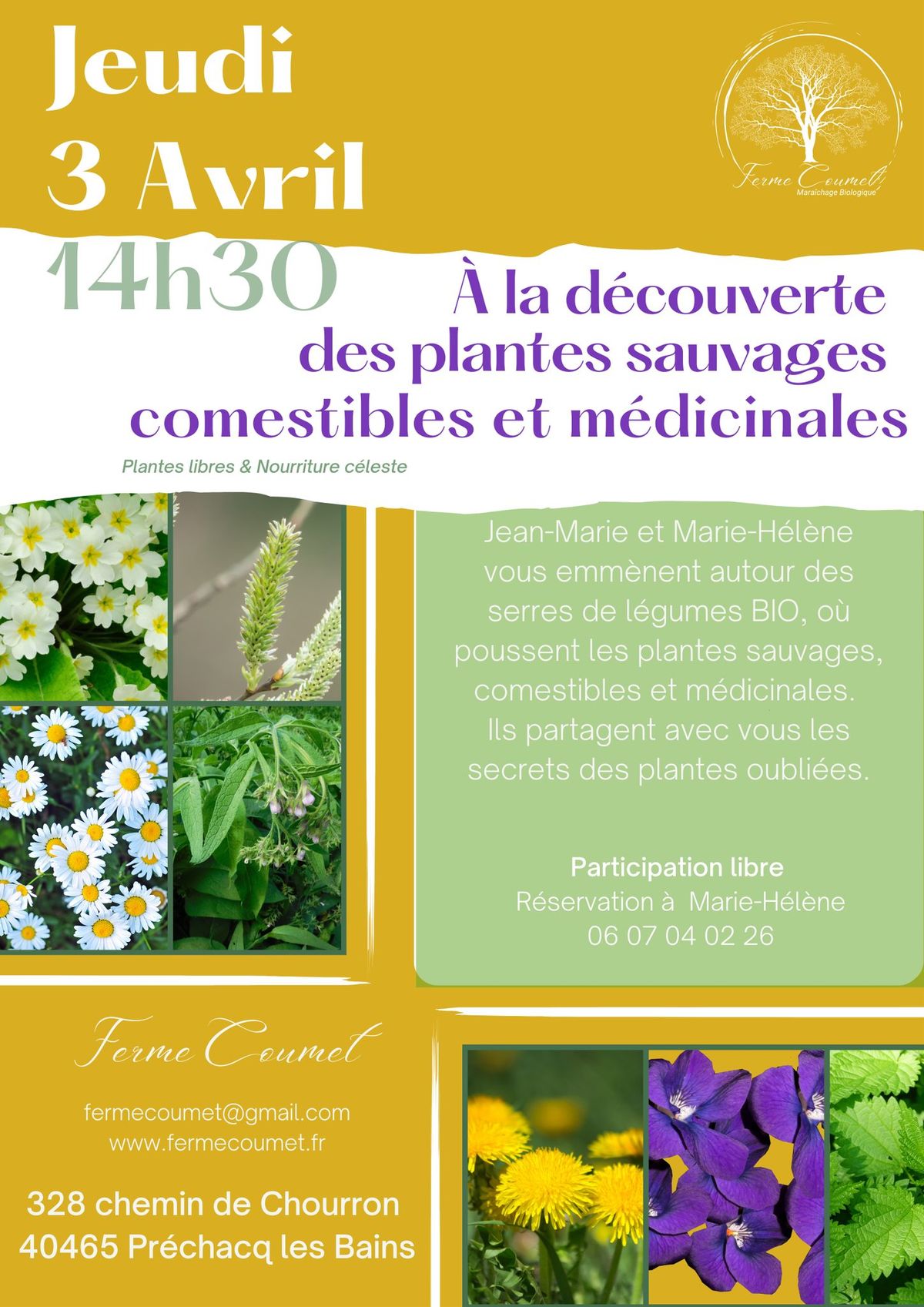 \u00c0 la d\u00e9couverte des plantes sauvages comestibles et m\u00e9dicinales