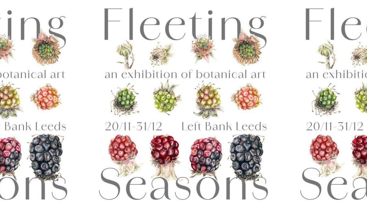 Fleeting Seasons By Poppy Jennings | Exhibition Launch