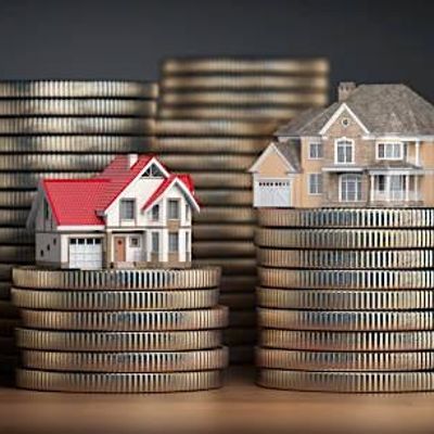 Sarasota Real Estate Investors Associatioin