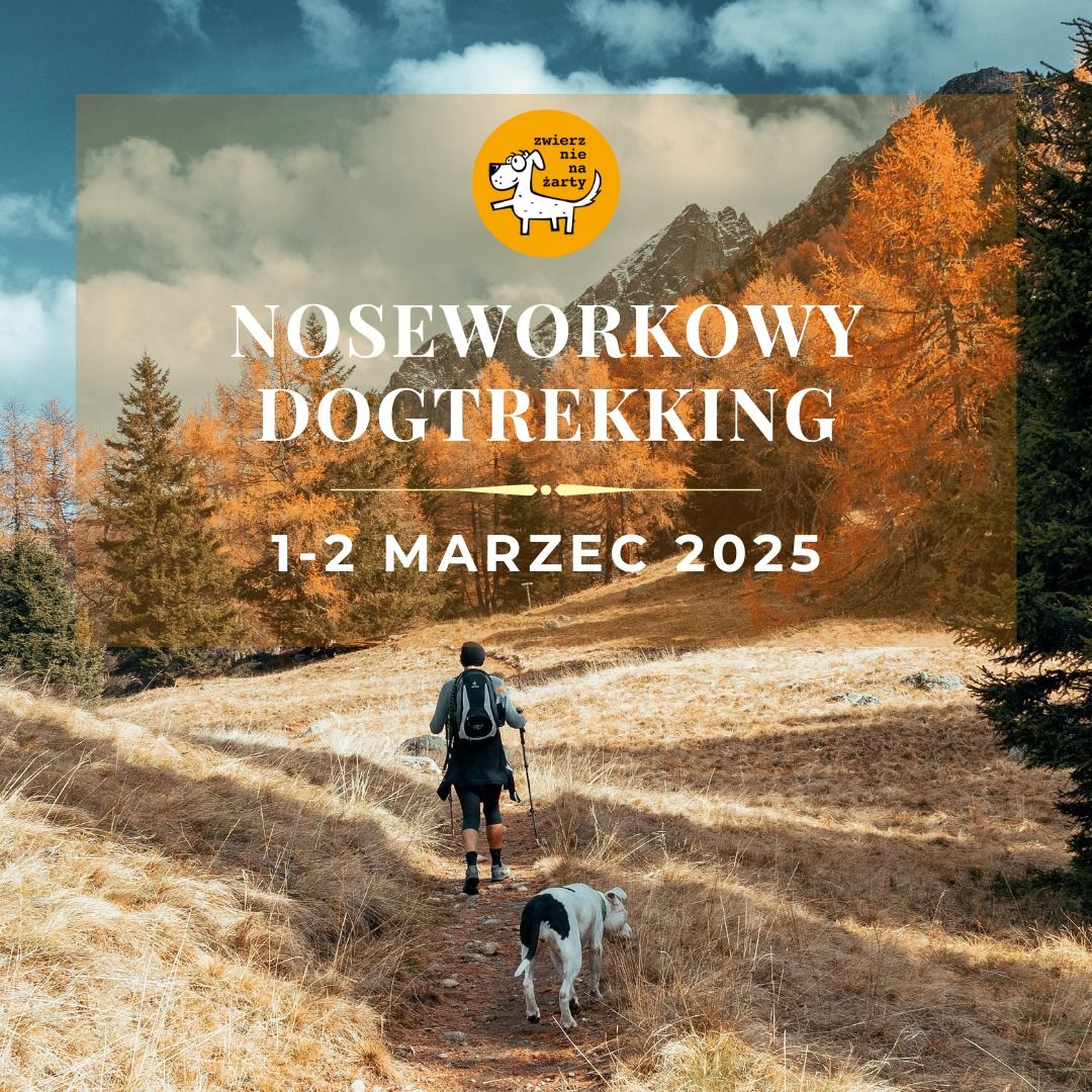 NOSEWORKOWY DOGTREKKING nad Rusa\u0142k\u0105 