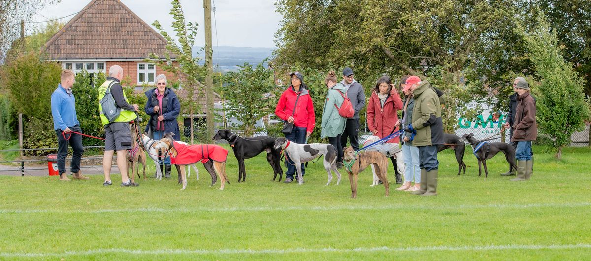 Monthly Hound Walk