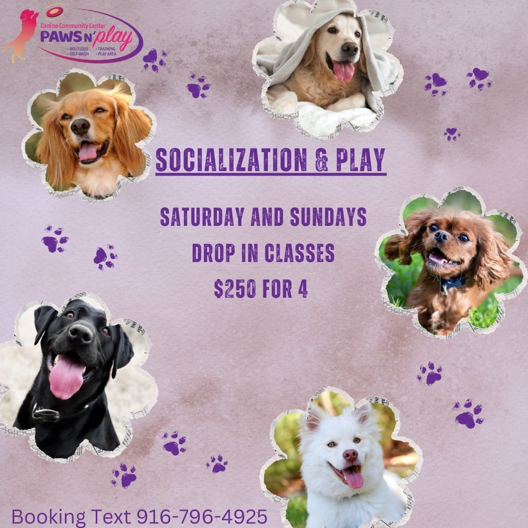 Socialization Class Sunday Mornings