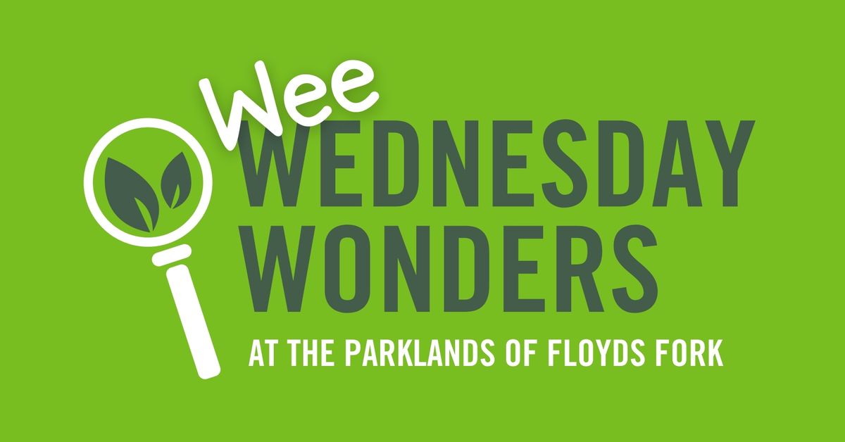 Wee Wednesday Wonders... what is the difference between venomous and poisonous?