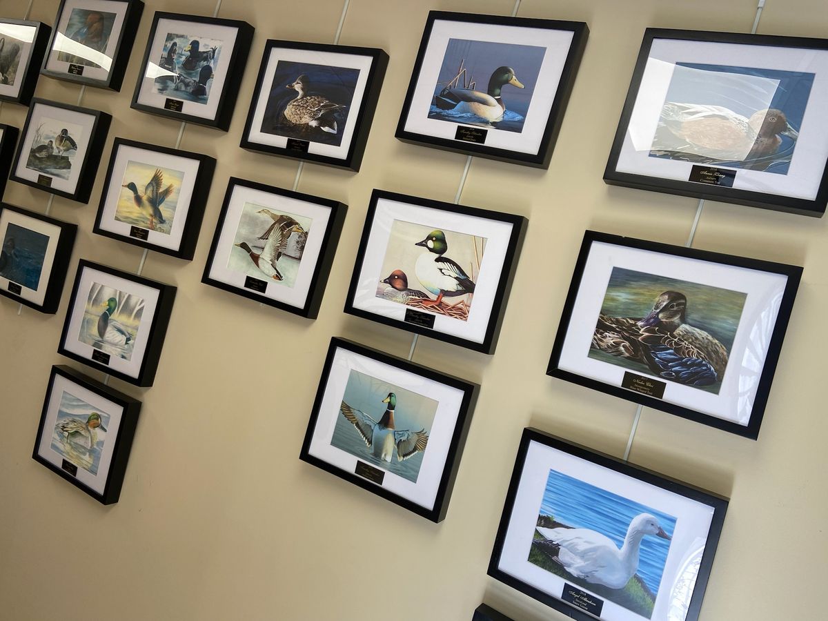 Junior Duck Stamp Art Workshop