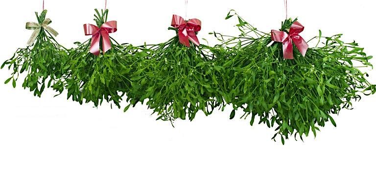 Mistletoe Workshop