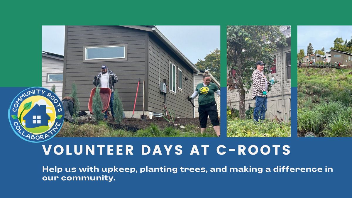 Volunteer Days at CRoots!