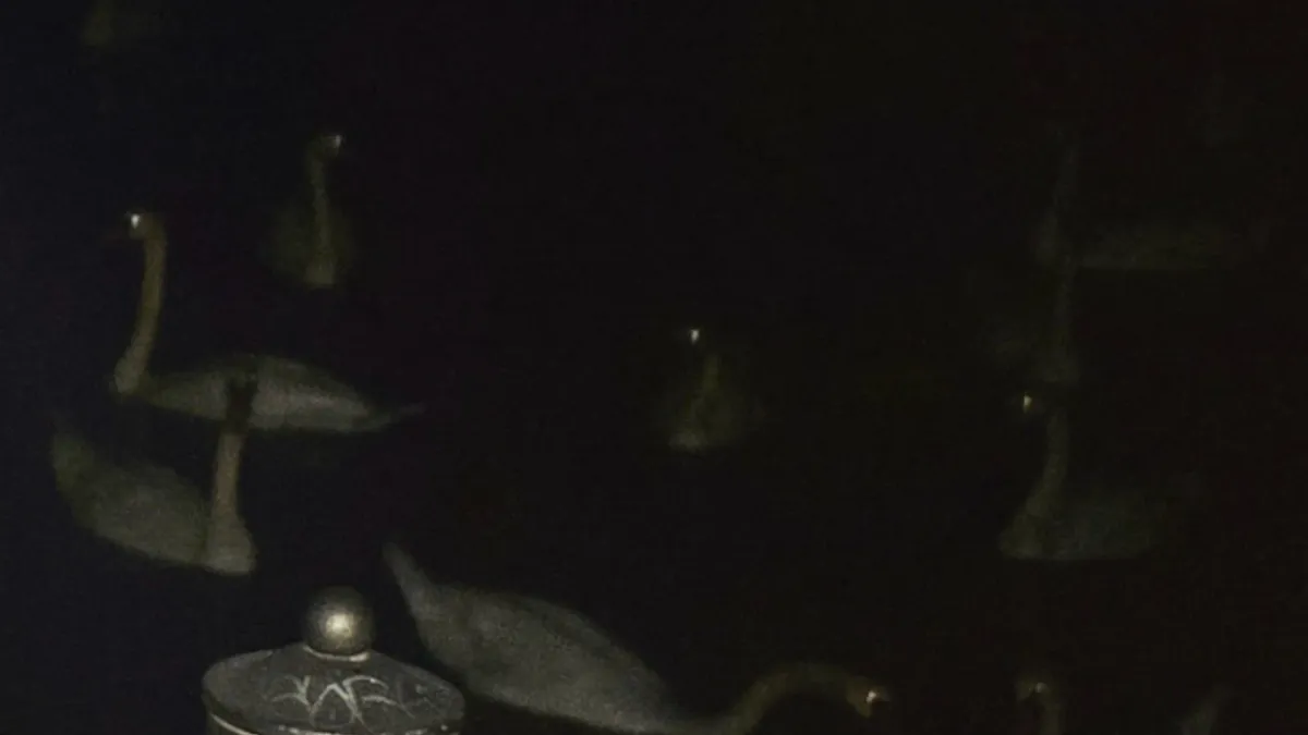 Youandewan, Jack Love in London