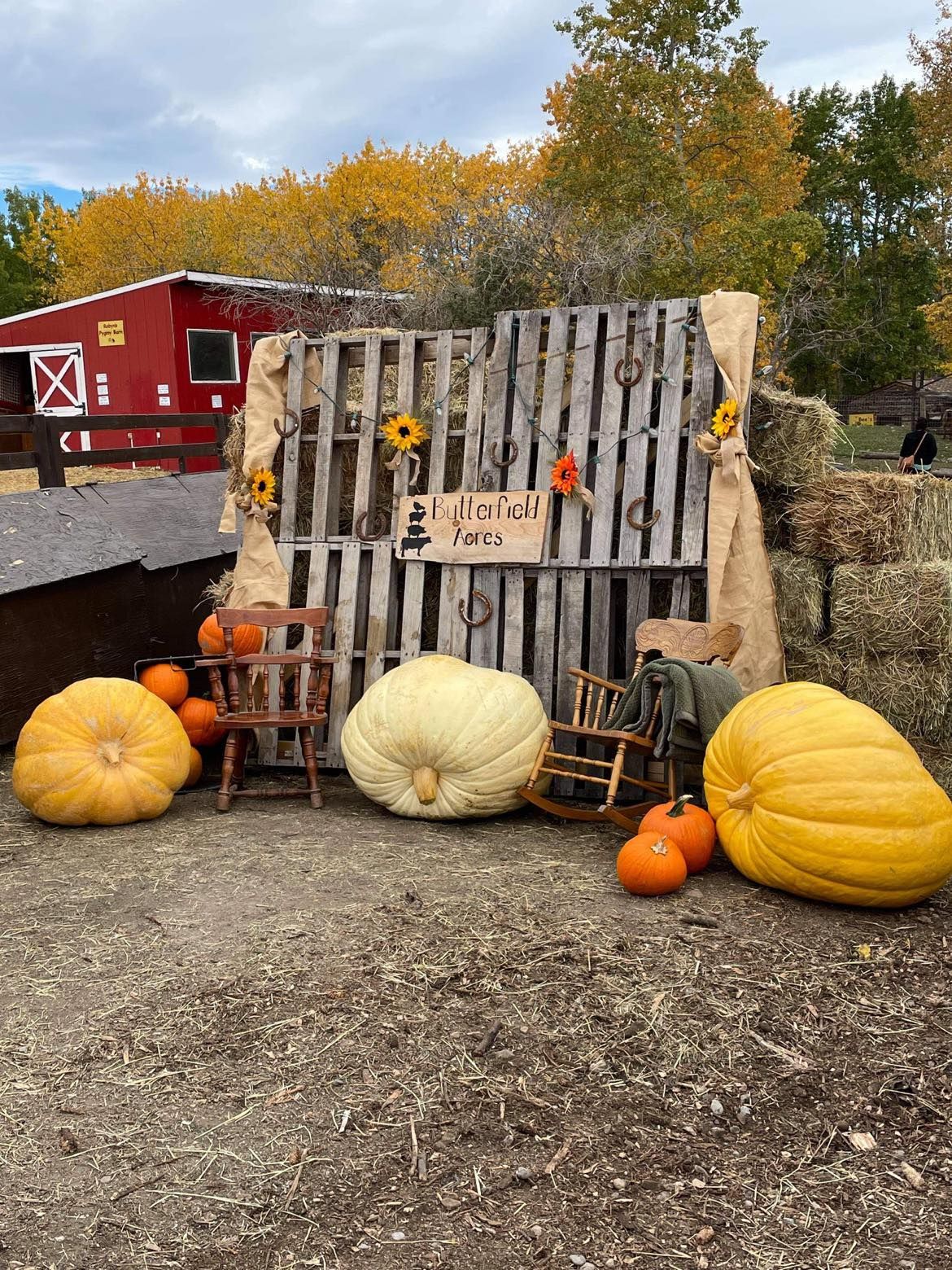 Date Night 18+ - Harvest Pumpkin Festival 