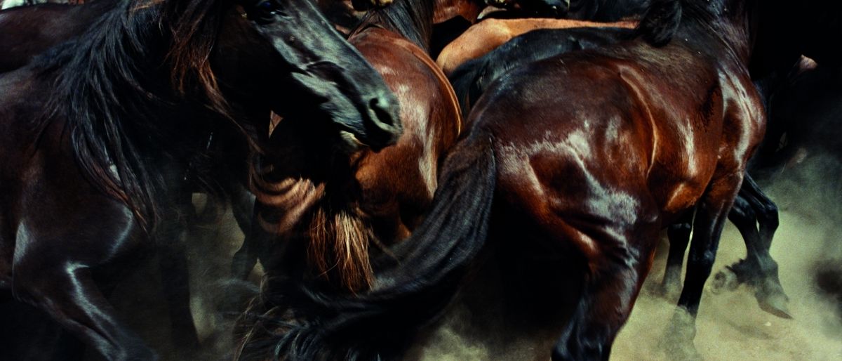 Manolo Garcia Pamplona Tickets