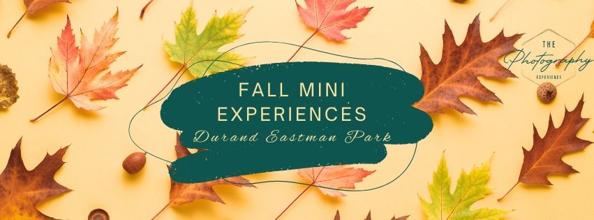 Fall Mini Experiences