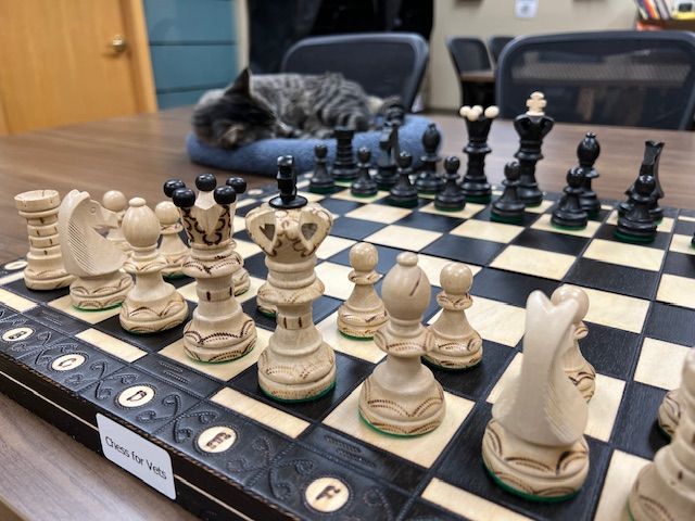 Chess for Vets