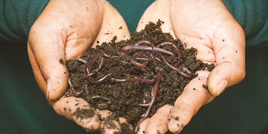 Composting and Worm Farming Workshop