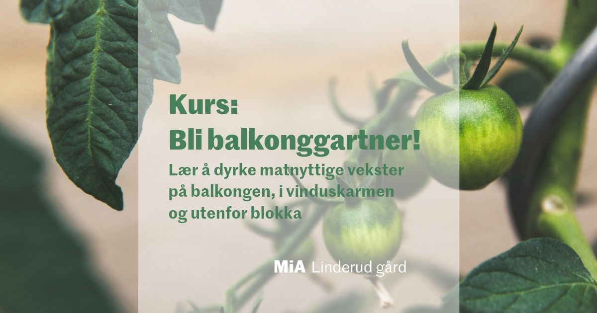 Kurs: Bli balkonggartner - dyrkekurs for nybegynnere