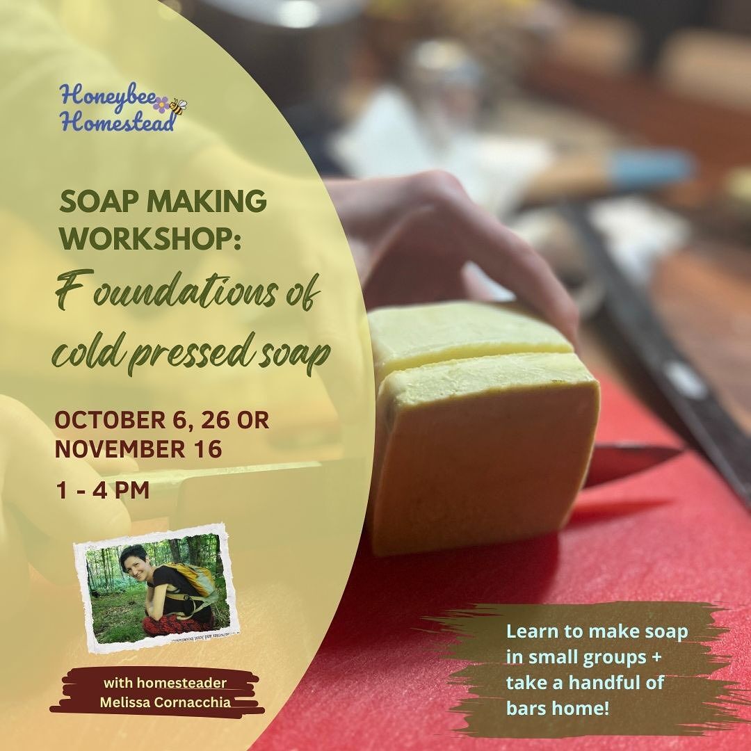 SOAP MAKING WORKSHOP: Foundations of Cold-Pressed Soap