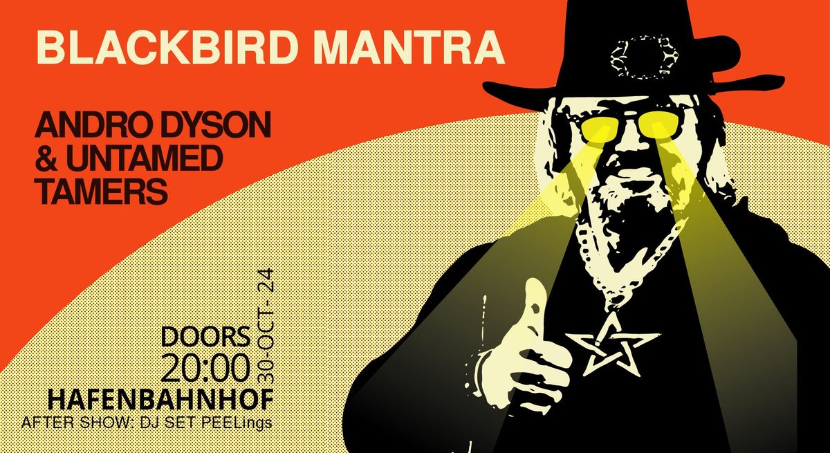 Blackbird Mantra \/ Andro Dyson & Untamed Tamers \/ DJ Set: PEELings