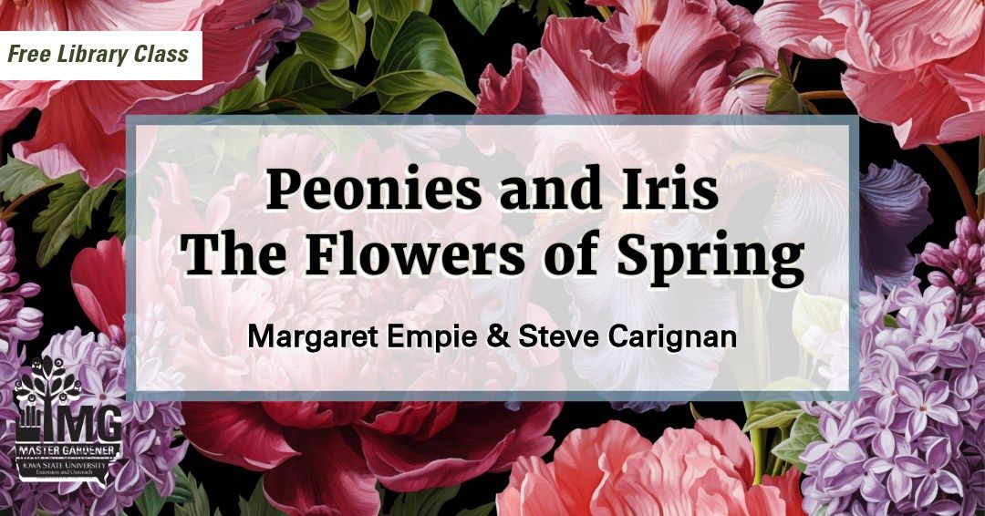 Peonies and Iris: The Flowers of Spring