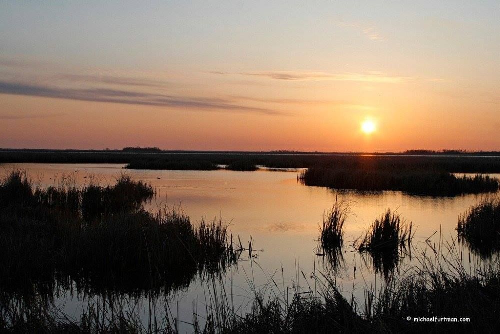 Richmond Ducks Unlimited Night Out on the James River