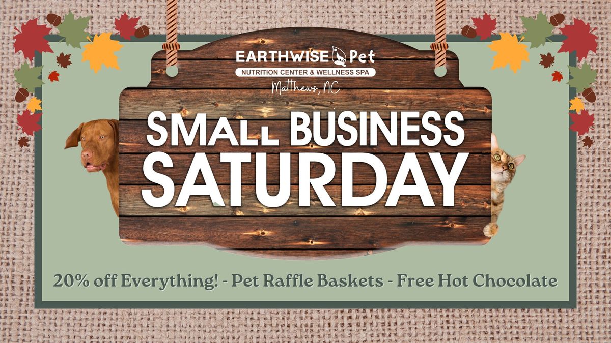 Small Business Saturday