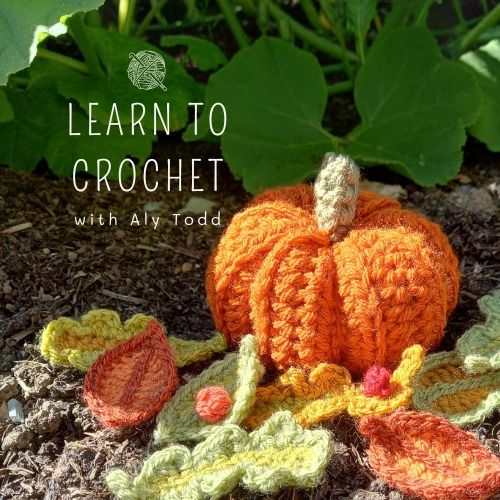 Learn to Crochet a Pumpkin with Aly Todd