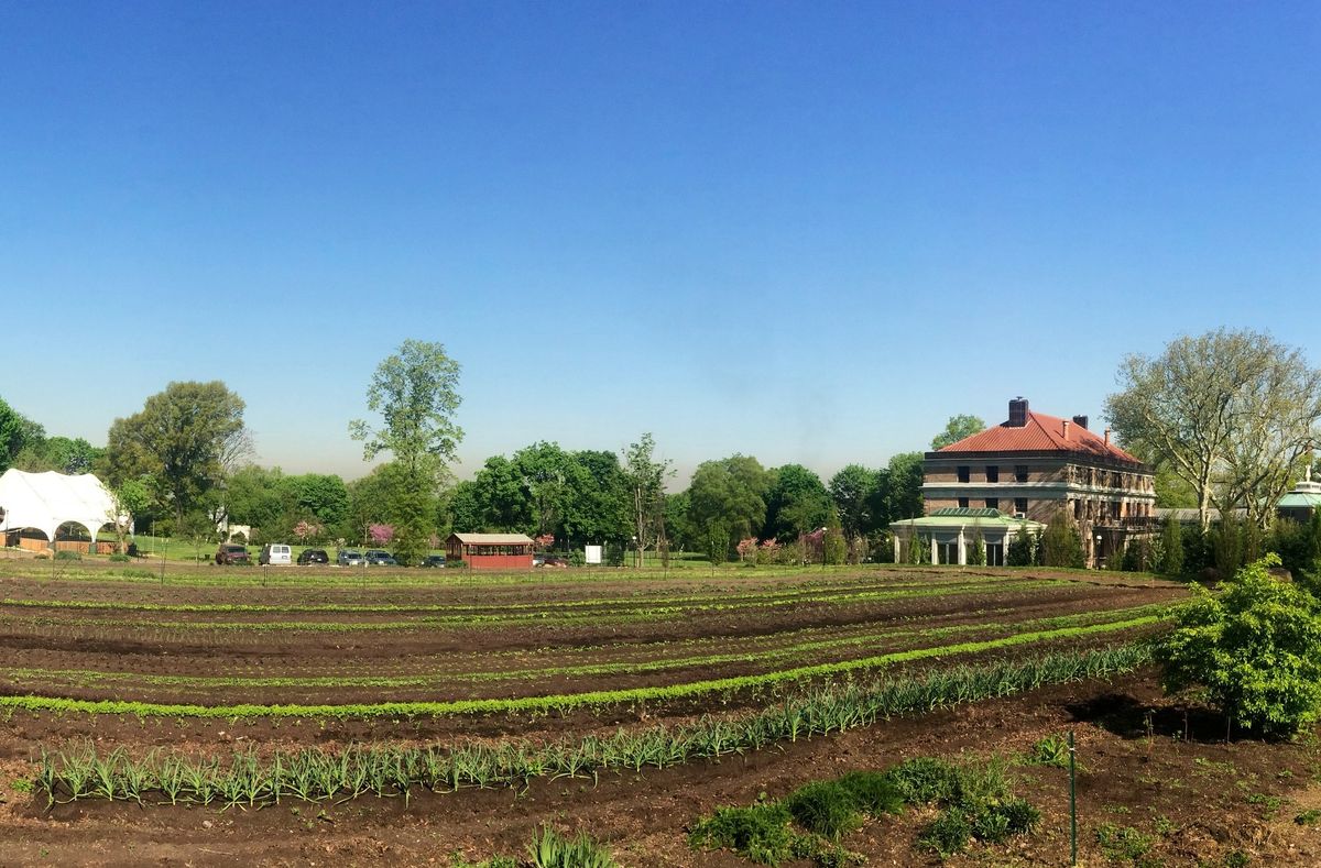 Heritage Farm and Compost Tour