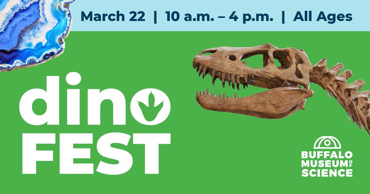 DinoFEST (All ages)