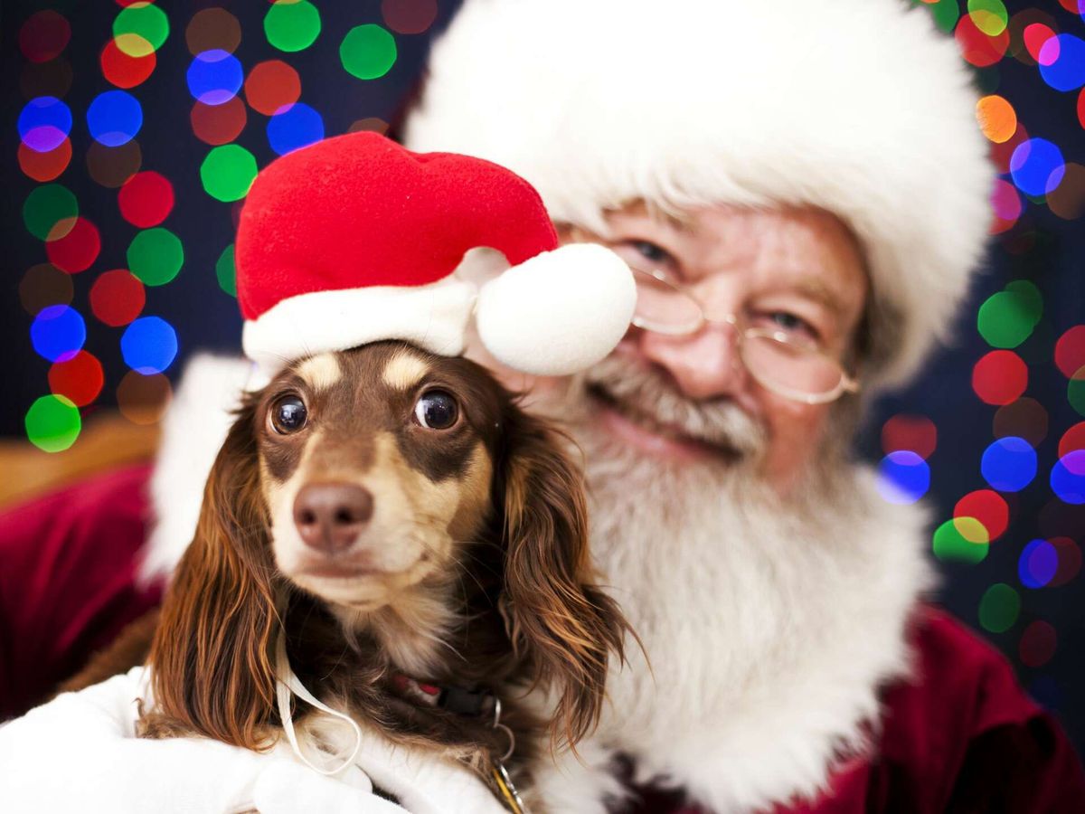 Pictures with Santa!