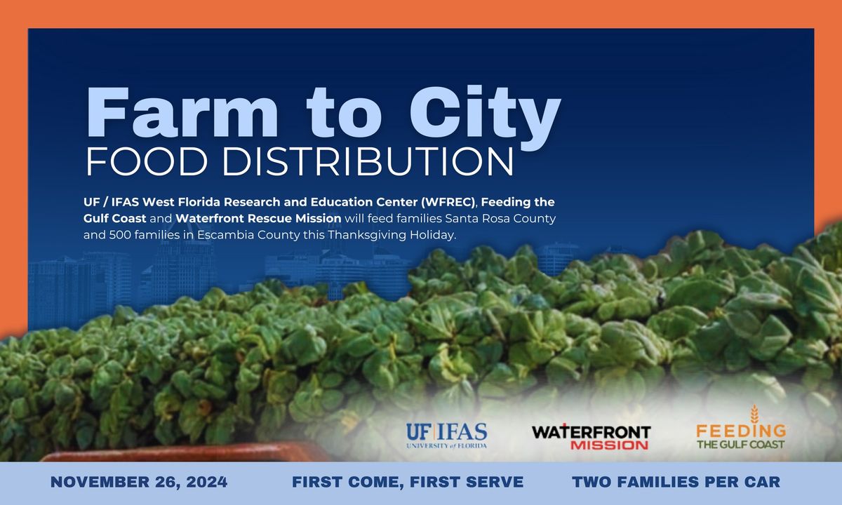 Farm To City Food Distribution