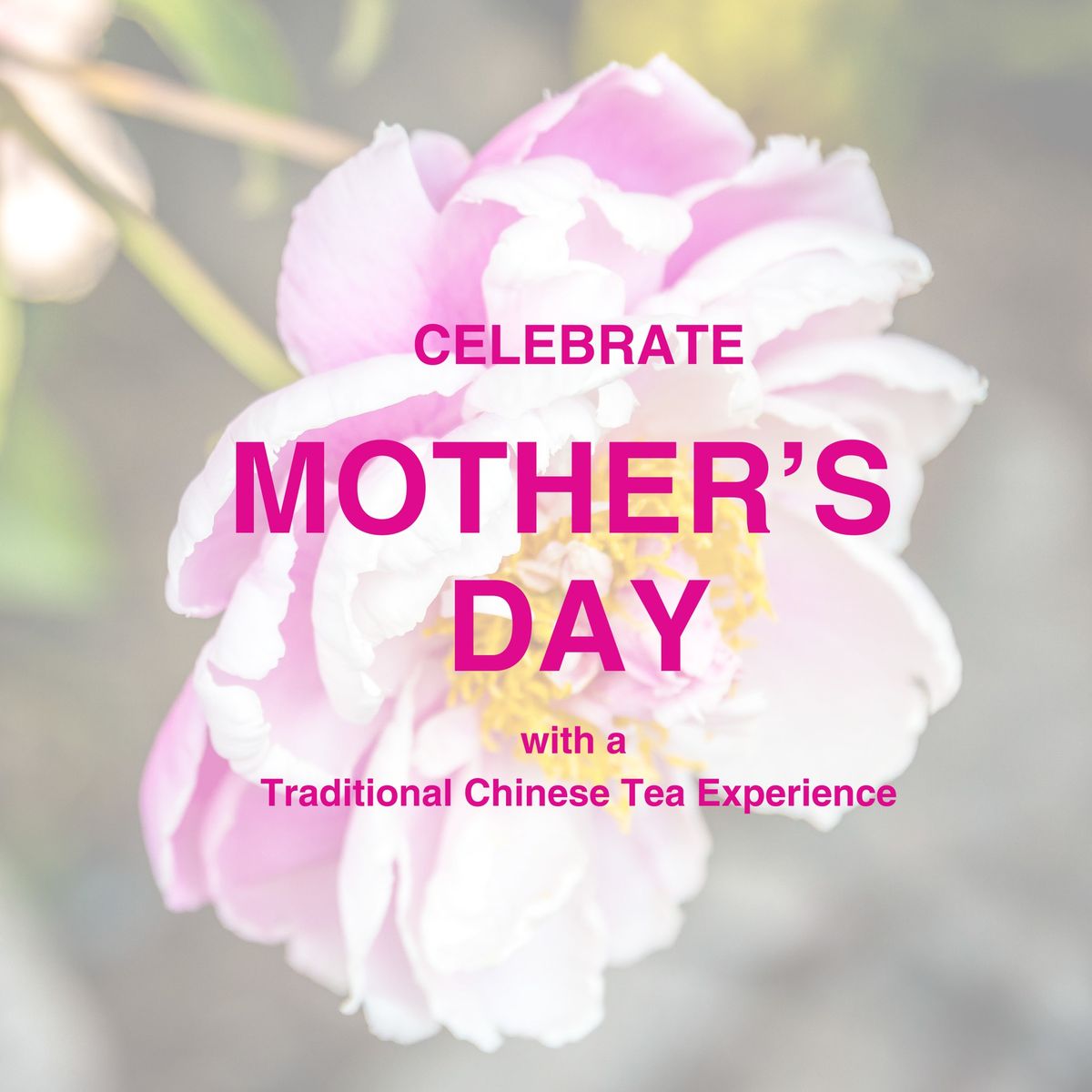 Mother's Day, Traditional Chinese Tea Experience