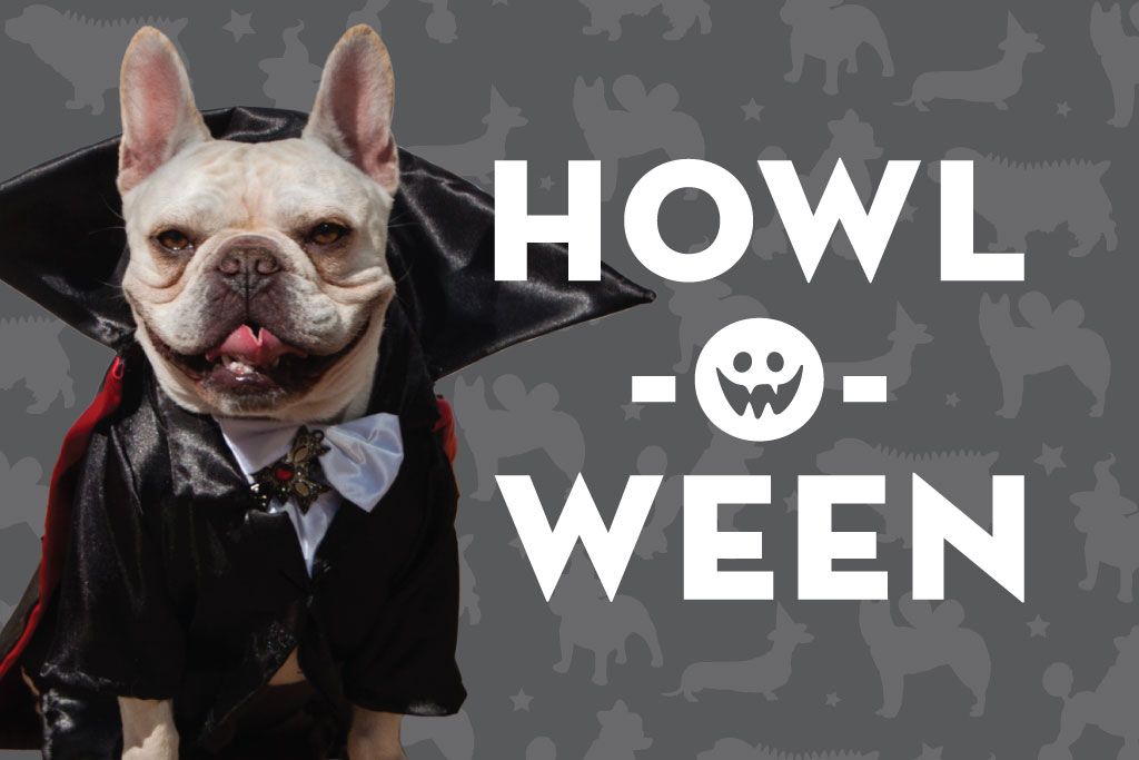 Howl-O-Ween