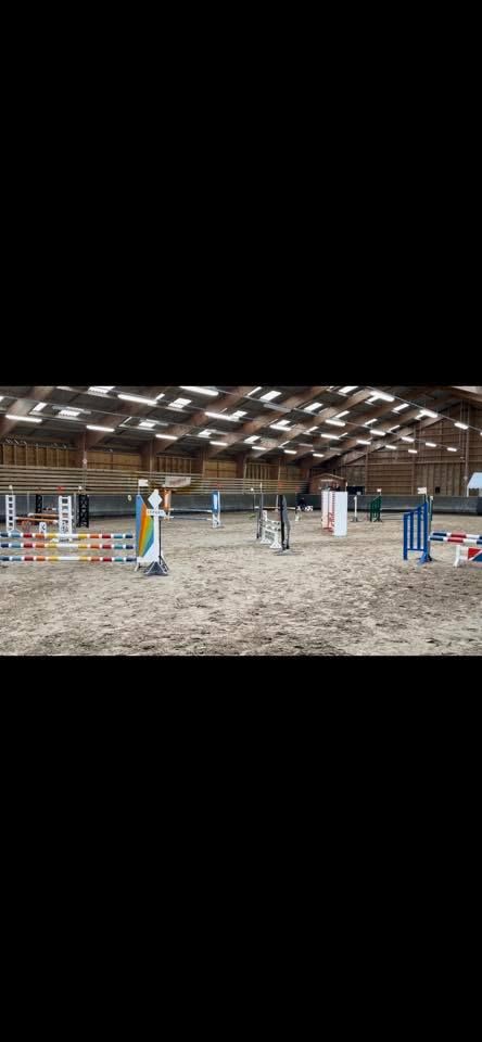 Concours de saut d\u2019obstacles 