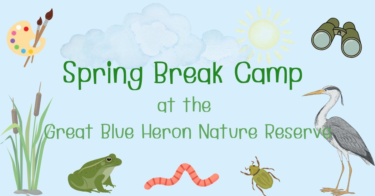 Spring Break Camp - Half Day or Full Day Art & Nature Camp