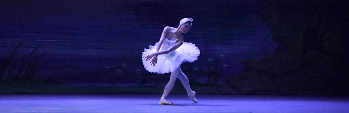 New Jersey Ballet - Timeless Masterpieces at Community Theatre at Mayo Performing Arts Center