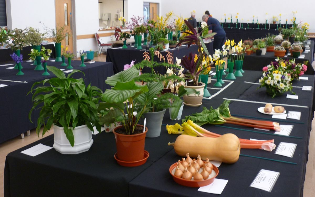 Spring Show, Norfolk & Norwich Horticultural Socity