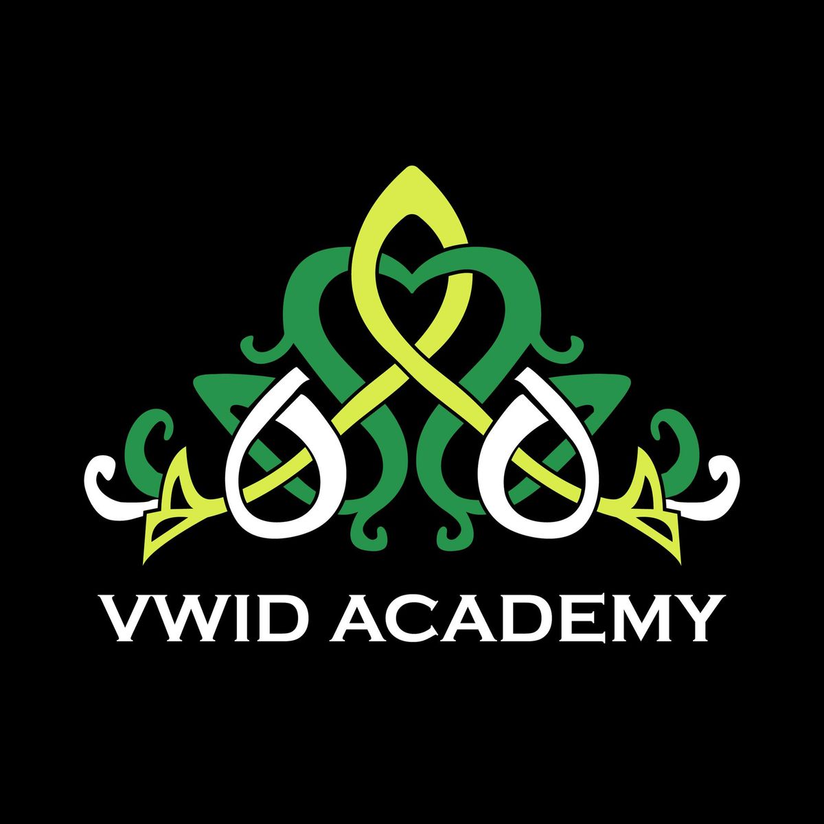 VWID Academy Annual Class Feis 2024