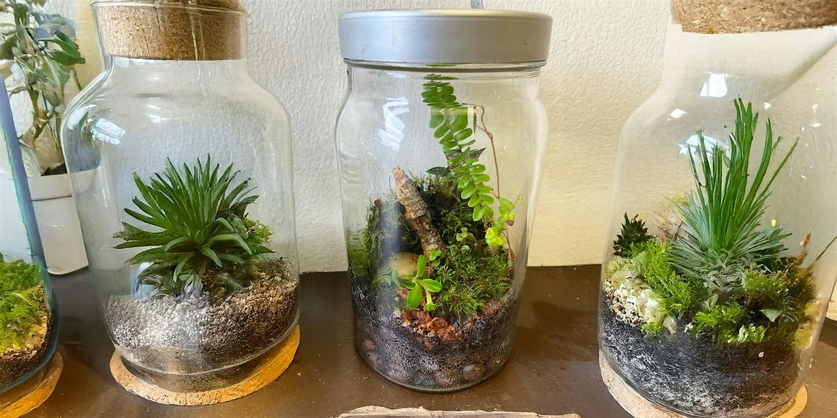Reserve Your Spot: Glass Terrarium Workshop at The Pour Haus