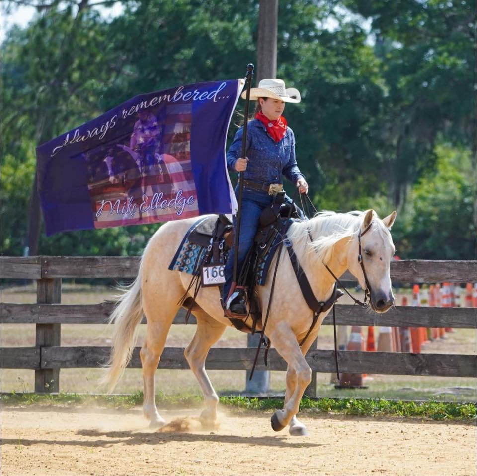 Bakas Charity Open Breed Western & Ranch Pleasure Series 3 of  3 