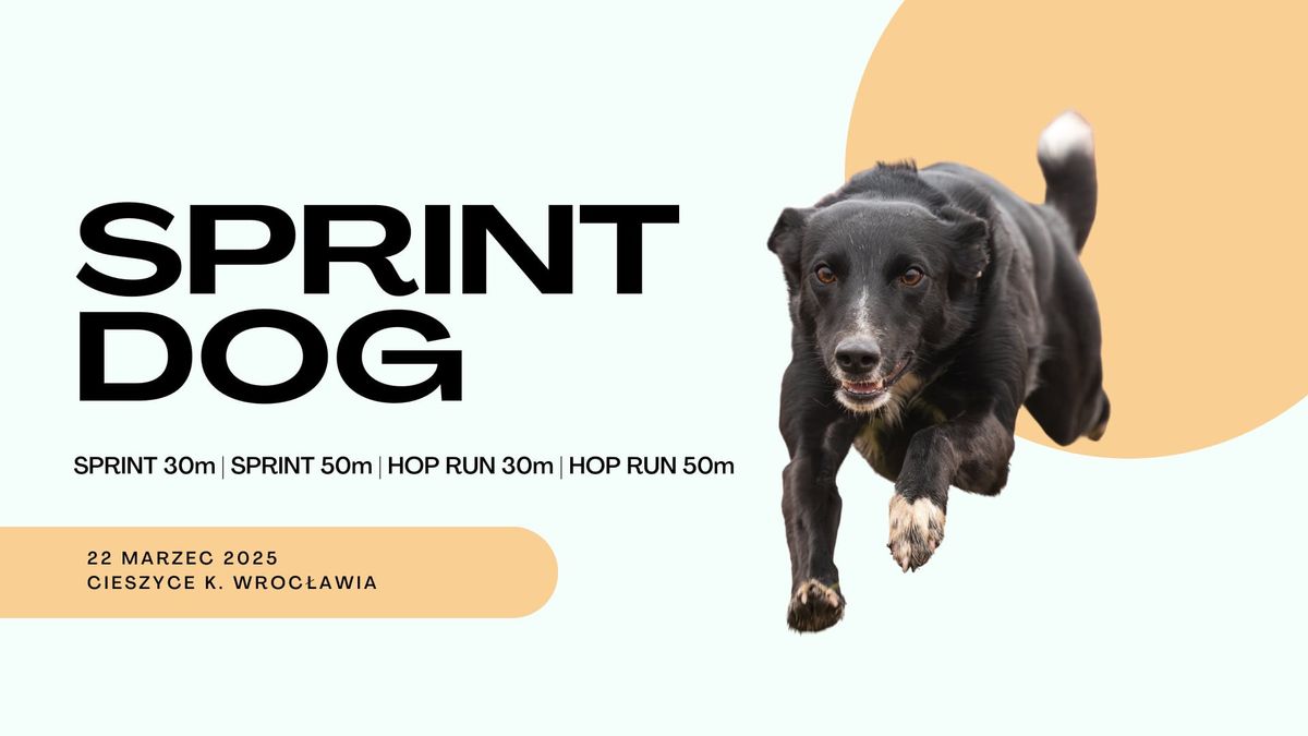 SPRINT DOG 